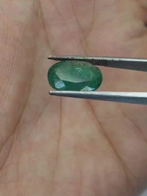 Zambian Emerald  IGI CERT 3880D13823 5.53 ct