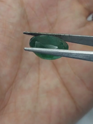 Zambian Emerald  IGI CERT 135296 12.78 ct