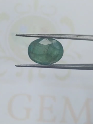 Zambian Emerald  IGS CERT 24113024435 6.60 ct