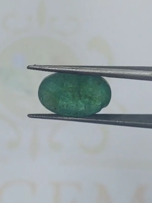 ZAMBIAN EMERALD  IGS CERT  24113024436 6.18 ct