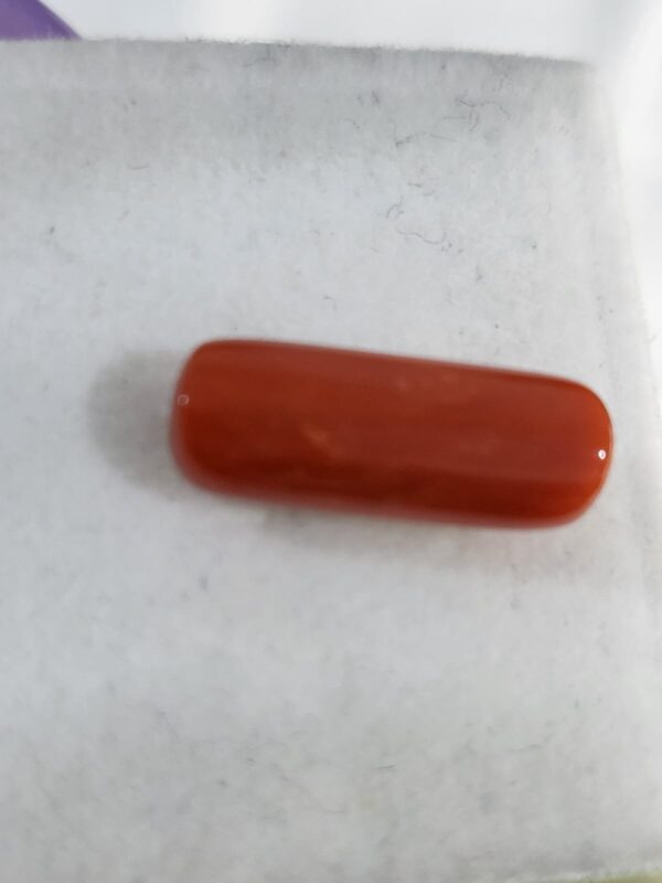 NATURAL ITALIAN CORAL (MOONGA)