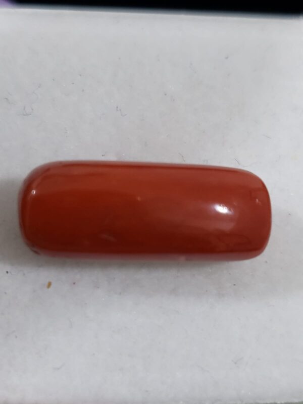 NATURAL ITALIAN CORAL (MOONGA) - Image 2