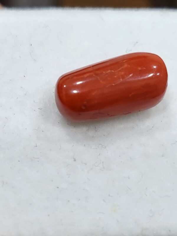 NATURAL ITALIAN CORAL (MOONGA)