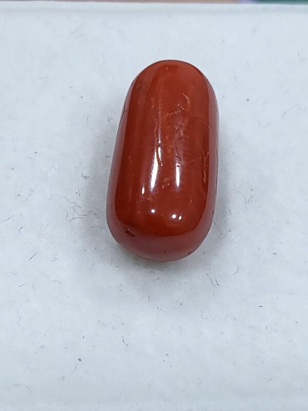 NATURAL ITALIAN CORAL (MOONGA) - Image 2