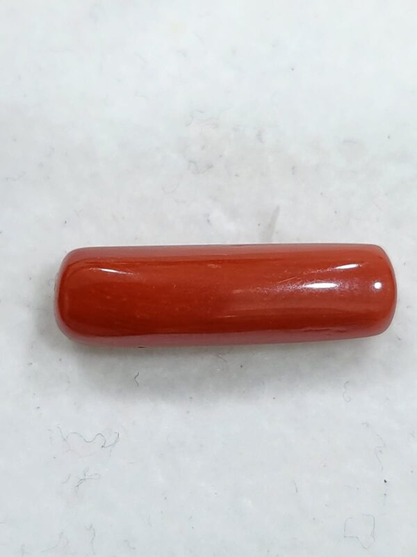 NATURAL ITALIAN CORAL (MOONGA) - Image 2