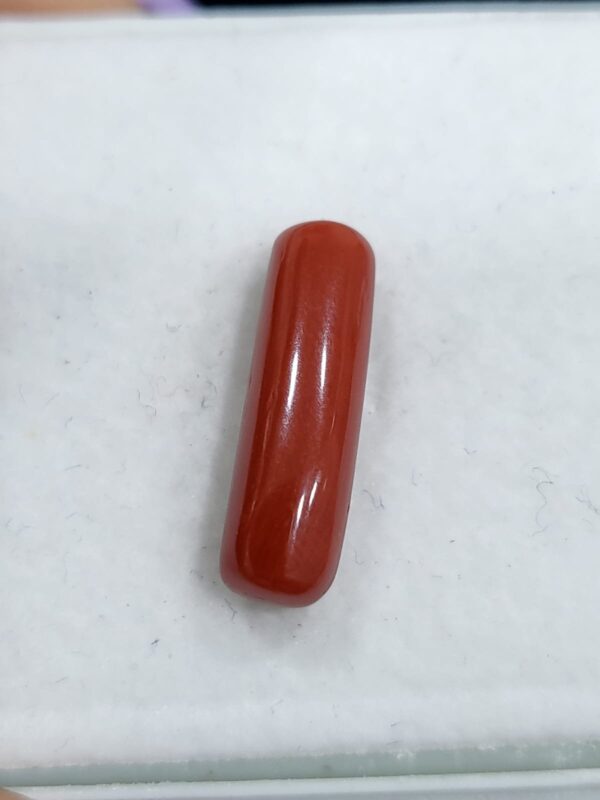 NATURAL ITALIAN CORAL (MOONGA)