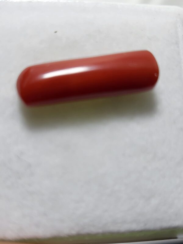 NATURAL ITALIAN CORAL (MOONGA)