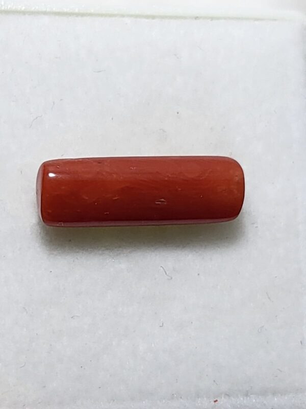 NATURAL ITALIAN CORAL (MOONGA)