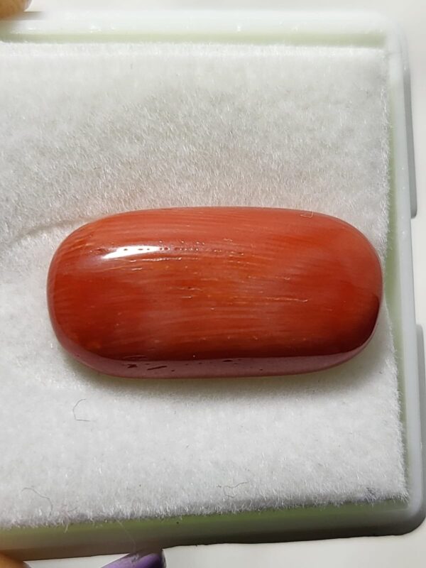 NATURAL ITALIAN CORAL (MOONGA)