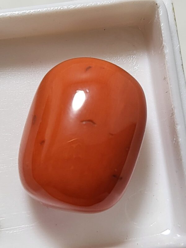 NATURAL ITALIAN CORAL (MOONGA)