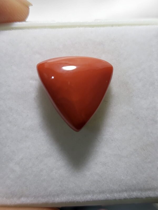 NATURAL ITALIAN CORAL (MOONGA)