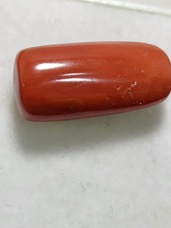 NATURAL ITALIAN CORAL (MOONGA)