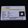 SOUTH SEA PEARL - Image 2