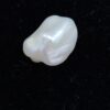 SOUTH SEA KC PEARL