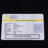 SOUTH SEA KC PEARL - Image 2