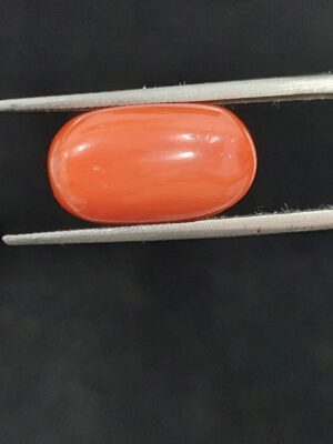 Italian moonga (oval)