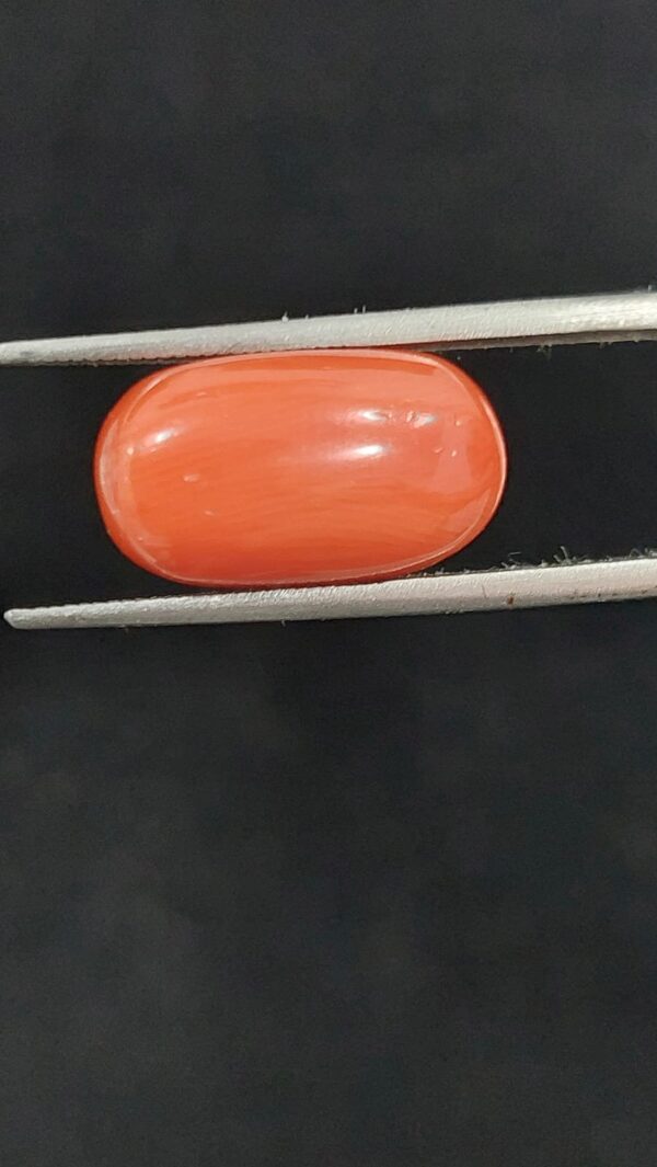 Italian moonga (oval)