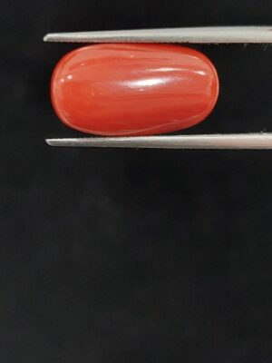 Italian moonga (oval)