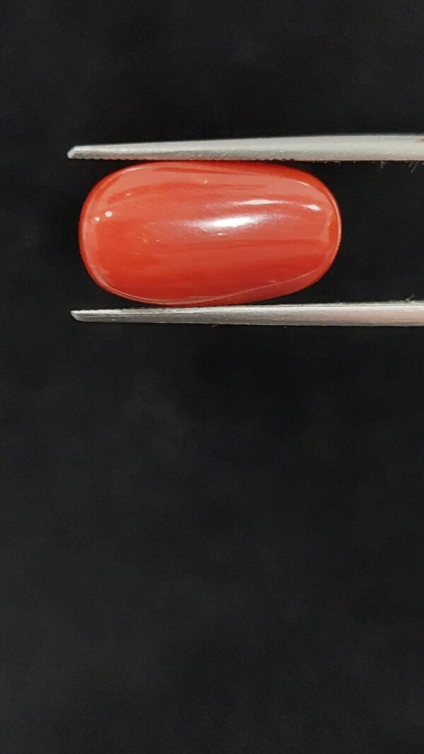 Italian moonga (oval)