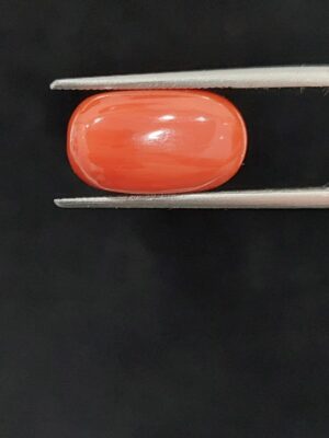 Italian moonga (oval)