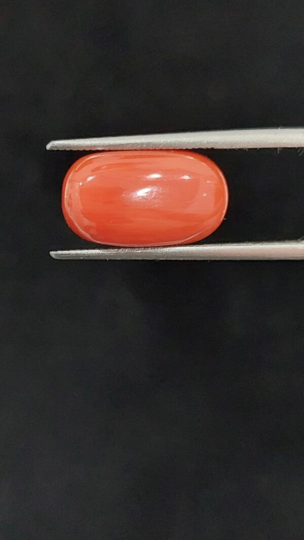 Italian moonga (oval)
